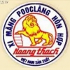 Công ty xi măng Hoàng Thạch