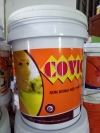 Một số hình ảnh về sản phẩm sơn COVIC