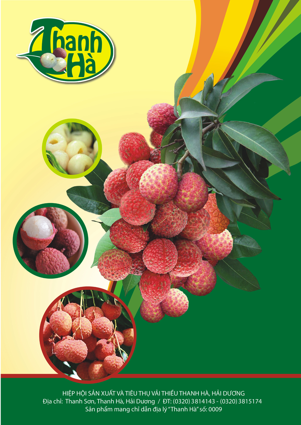 Hình ảnh và logo thương hiệu Vải Thiều Thanh Hà Hải Dương