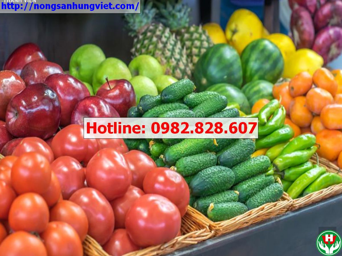 Video Giới thiệu Công ty Cổ phần Nông sản Hưng Việt