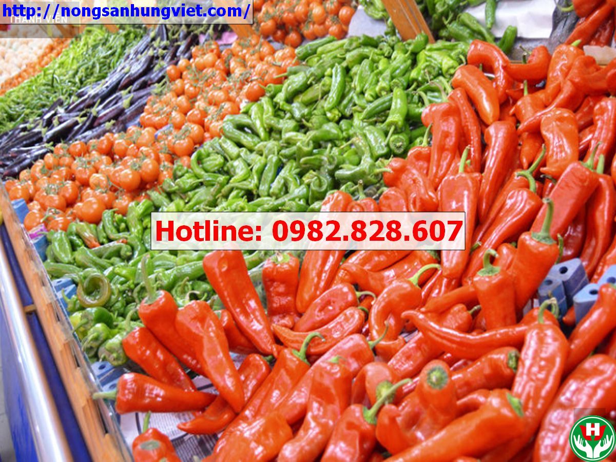 Một số hình ảnh về sản phẩm Thương hiệu của Công ty Cổ phần Nông sản Hưng Việt